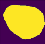 Draft Xu 795668614-image19.png