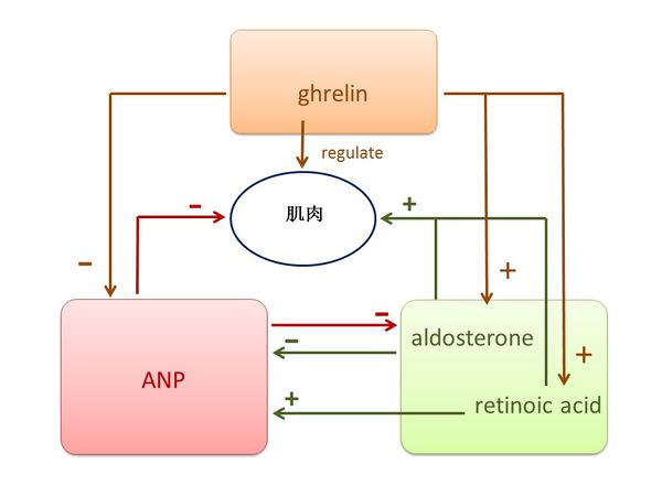 Draft Liu 649436795-image3.jpg