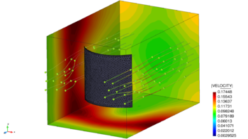 3D model of the flow-induced buckling of a membrane