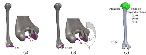 Review 392361619556-image9.jpeg