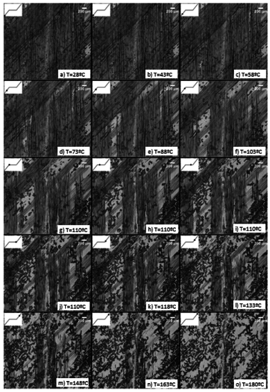 Torres et al 2021b-image18.png