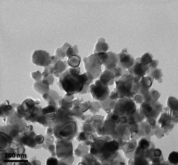 Vazquez et al 2021a-image6.png