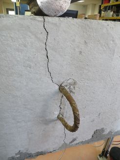 Draft Samper 457984204-image290.jpeg