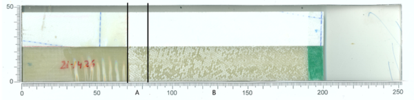 Blanco et al 2022a-image28.png