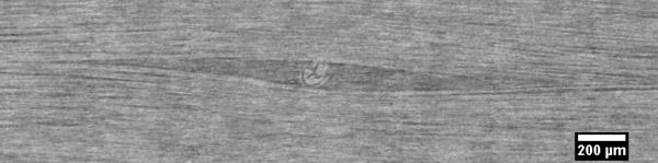 Delgado et al 2021a-image12.jpg