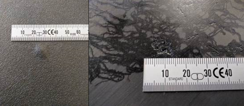 Draft Porcar 228219270-image10-c.png