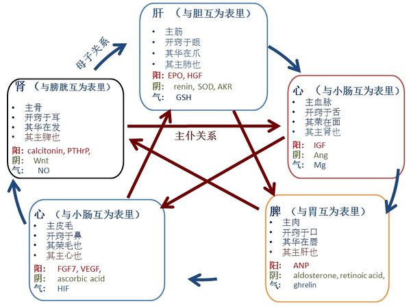 Draft Liu 649436795-image1.jpeg