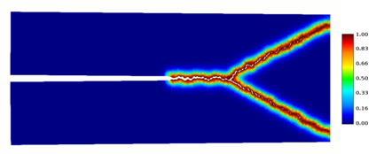 Damage field obtained int dynamic crack branching experiment. Displacements are scaled up a factor of 1000
