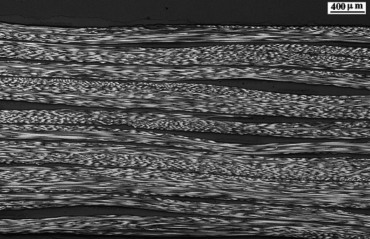 Gayoso et al 2019a-image15.png