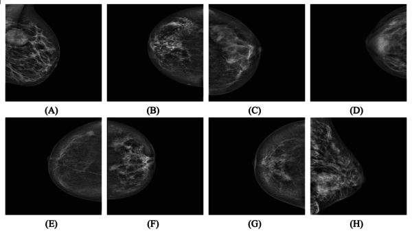 Draft Hussain 989919632-image1.png