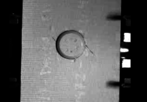 Draft Sanchez 378758303-image20-c.png