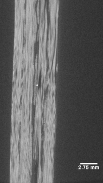 Haldar et al 2020a 4835 test-image5-c.png