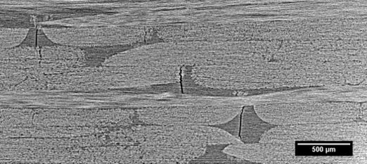 Delgado et al 2021a-image6.jpg