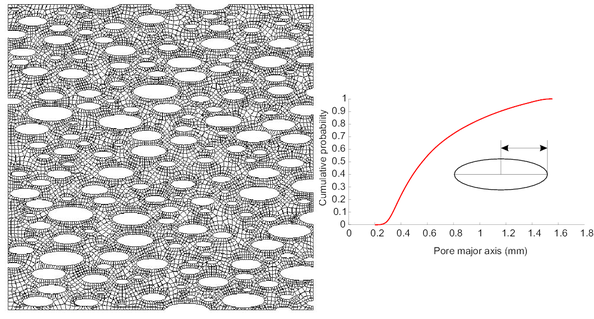 a) Finite element mesh of the RVE corresponding to the porous metal material. b) Cumulative probability distribution followed by the length of the pore  major axes.