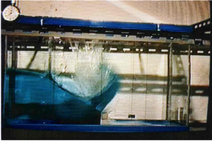 Draft Samper 722607179-02comp.png