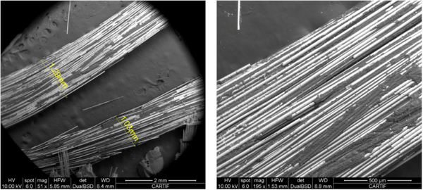 Pesquera Verdugo 2022a-image14.png
