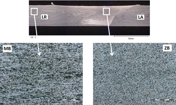 Vazquez et al 2021a-image11.jpg