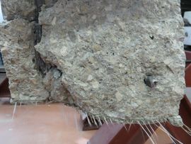 Draft Samper 457984204-image242.jpeg