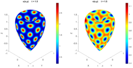 Concentrations at t = 0 and t = 1..