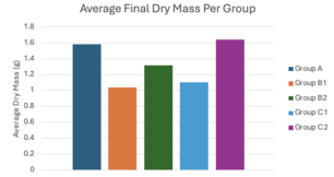 Draft Melika 433147401-image18-c.png