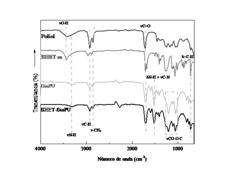 Draft Eceiza 183247528-image2-c.png