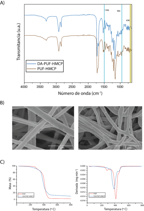 Draft Eceiza 646986287-image2.png