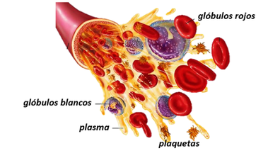 Draft Samper 411837410-image8.png