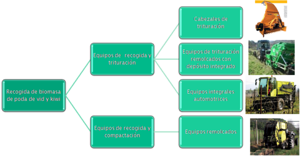 Draft Compuestos 598303311-image5.png