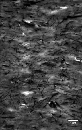 Herrero et al 2019b-image6.png