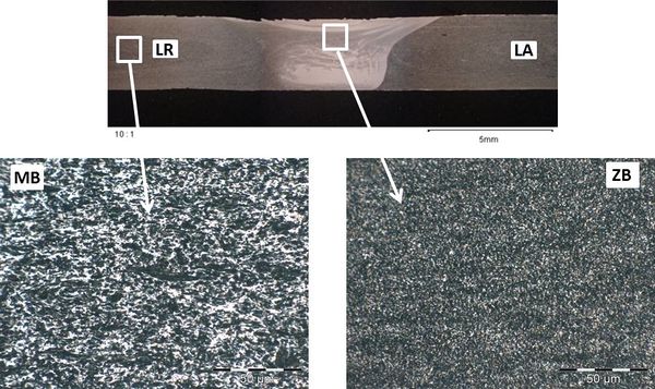 Vazquez et al 2021a-image12.jpg