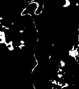 Draft Esqueda Oliva 308490420-image28-c.png