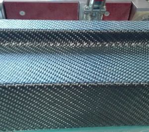 Calle et al 2019b-image9.jpeg