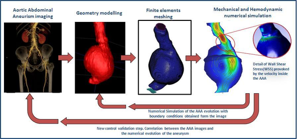 From the medical image to the simulation
